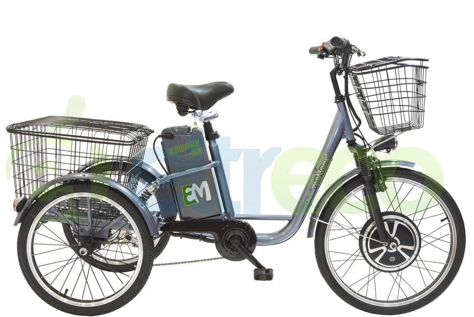 Трицикл E-Motions Kangoo 700W