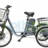 Трицикл E-Motions Kangoo 700W