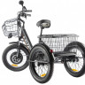 Электрофэтбайк Eltreco Green City e-ALFA Trike