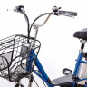 Электровелосипед Elbike Duet