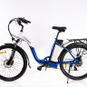 Электровелосипед Elbike Galant BIG VIP