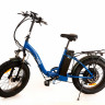 Электро Фэтбайк Elbike Taiga 1 (13)