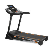 Беговая дорожка Svensson Body Labs PhysioLine TBX