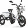 Электрофэтбайк Eltreco Porter FAT 500 UP