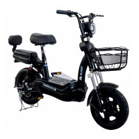 Электровелосипед Elbike Dacha Mini 12